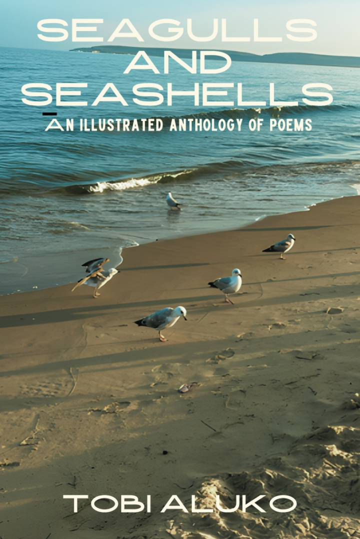 Seaguls and Seashells